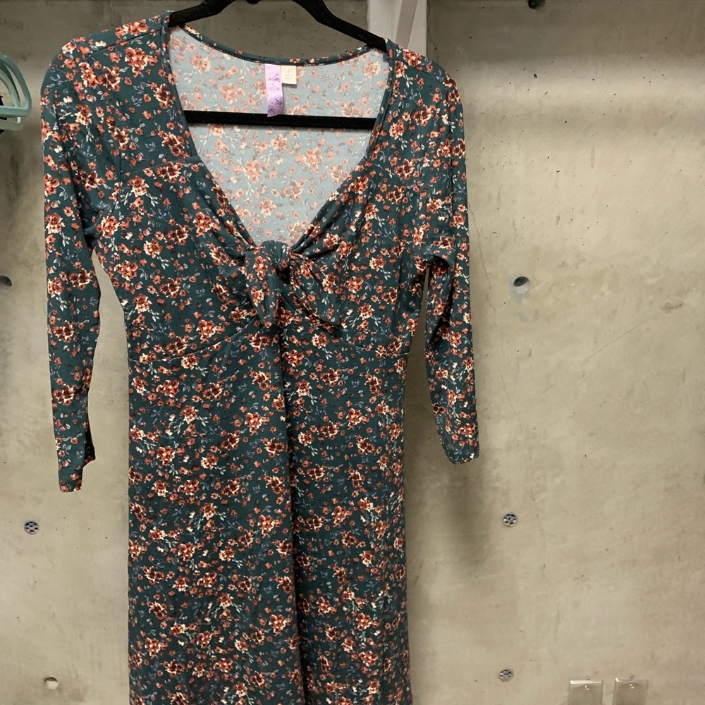 Francesca’s Dress